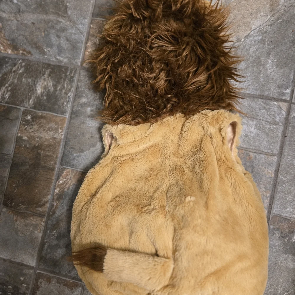 Going Wild Baby Lion Costume 12 Months Dress Up